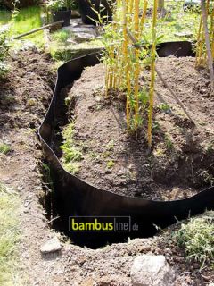 BAMBUS Pflanzen von bambusline 2m 5m hoch