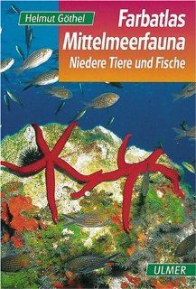 Farbatlas Mittelmeerfauna Niedere Tiere und Fische. 301 Arten in Wort