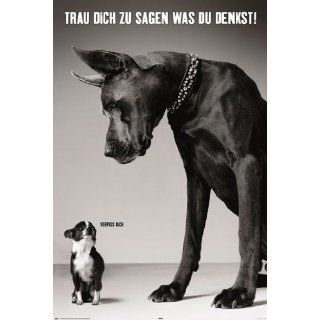 1art1 35023 Fun   Scheissregeln Poster (91 x 61 cm) Küche