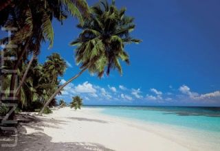 Fototapete Malediven Palmen Strand Sonne Meer Karibik