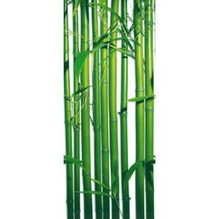 Pflanzen   Bambus I, 2 Teilig Fototapete Poster Tapete (254 x 91cm)