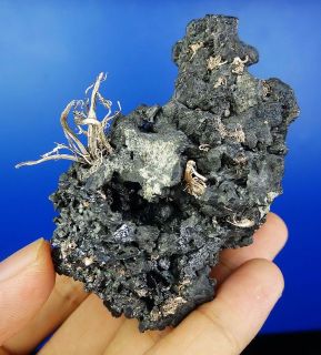 Super Selten Mineralien Fine Argentit,Top gediegen Silber