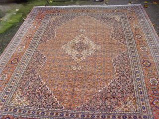 Perserteppich Sarab Maschayekhi 2,58m x3,34m +COA TOP