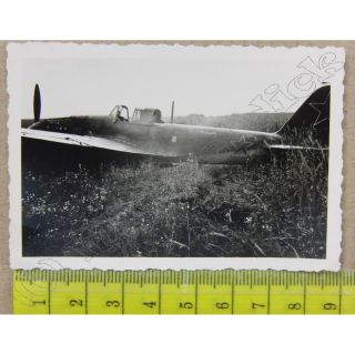 Russland, Flugzeug, Kennung, Absturz, Beuteflugzeug, 2.WK/525