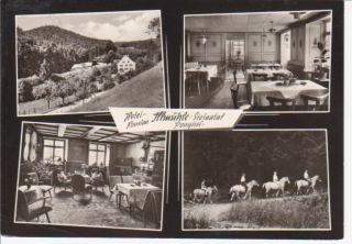 Hotel Illmühle Steinatal, Ponyhof gl1967 60.629