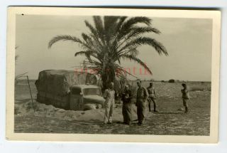 Original Foto LKW Afrikakorps DAK Heeresgruppe Afrika Oase Wehrmacht