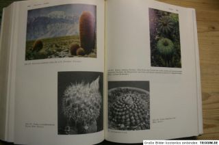 Kakteenlexikon 1979, 3000 Kakteen in Wort & Bild, Sorten