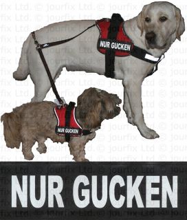 NUR GUCKEN 1x Logo klein weiß für Julius K9® Hundegeschirr Geschirr