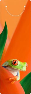 3D Lesezeichen Laubfrosch, Red eyed Tree Frog, Tier, Frosch