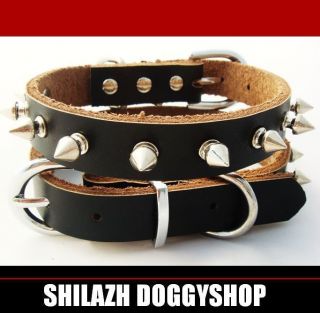 Leder Halsband RUFOS 23cm mit Spikes Nieten Chihuahua Yorkshire