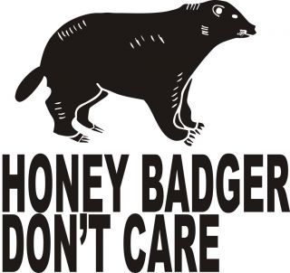 Honey Badger Dont Care Web Video Hit Animal Planet Epic Vintage Funny