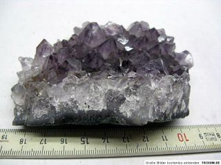 Amethyst,11 cmAmethystdruse,Geode,Druse,Edelstein,Kristall, 0,35kg