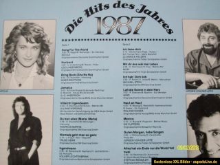 Schallplatten Sammlung Das Goldene Schlager Archiv Die Hits des Jahres
