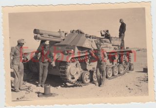 Orig Foto Afrika DAK Sturmpanzer II Kennung Palme Panzer Tank