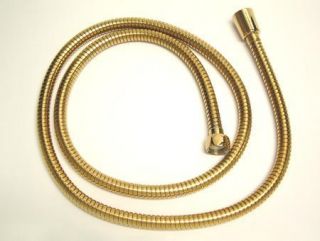Elements of Design ED1030 2 Shower Hose, Polished Brass