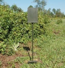 Perfect Tree Outdoor Wildlife Camera Platform/Stand