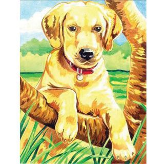 Reeves Labrador Color By Number Kit