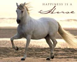 Happiness Is a Horse 2012 Calendar (Calendar)