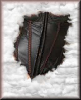Leather 1/4 Cup Corset Hook and Eye Front Closure