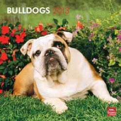 Bulldogs 2013 Calendar (Calendar)