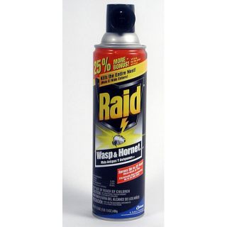 Raid 17.5 oz Wasp and Hornet Spray (Pack of 4)