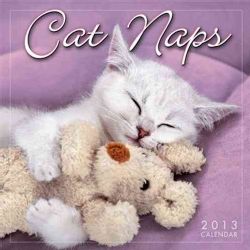 Cat Naps 2013 Calendar (Calendar)