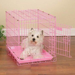 How to Increase Comfort in a Dog Kennel