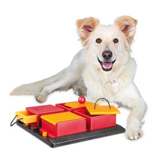Poker Box Treat Dog Trainer