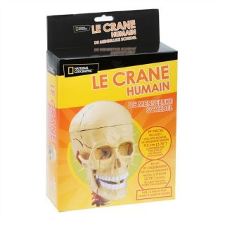 Le crâne Humain National Geographic   Achat / Vente JEU ASSEMBLAGE
