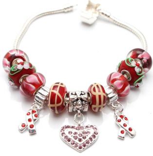 Bleek2Sheek True Hope Collection Scarlet Edition Charm Bracelet