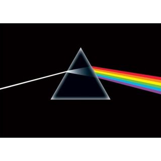 Pink Floyd, (Dimension  Maxi 91.5 x 61cm)… Voir la présentation