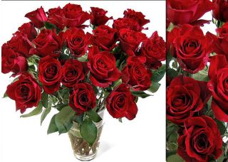 100 Fresh Red Wholesale Roses (18 in. stem length)