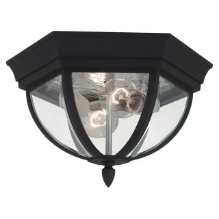 Bakersville Black Finish with Clear Beveled Glass Outdoor Ceiling