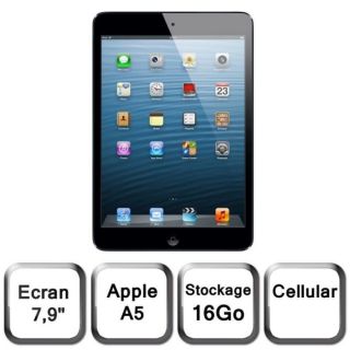 iPad mini Wi Fi + Cellular 16 Go noir & ardoise   Achat / Vente
