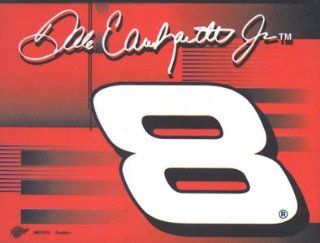 Dale Earnhardt Jr. Nascar Racing Driver Flag Sports