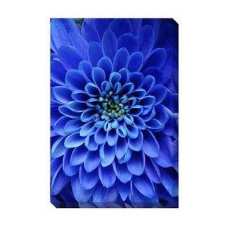 Blue Aster Oversized Gallery Wrapped Canvas