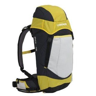 Wenger Onex Patagonia Backpack (20L, Yellow)