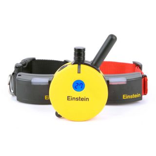 Einstein ET 502 Two Dog Training System for Small to Medium Dogs Today