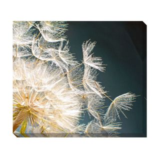 Dandelion Seeds II Oversized Gallery Wrapped Canvas