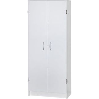 Storage Cabinet with Door and Shelves