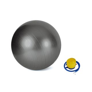 Valor Fitness EJ 6 Anti Burst Gym Exercise Ball Today $24.49 4.6 (7