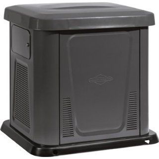   Briggs & Stratton Standby Generator with Whole House SED