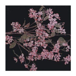 Blossom Branch, 2005 Finest LAMINATED Print Maryam