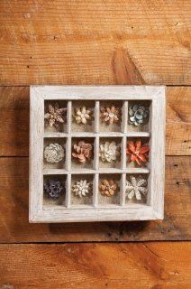 15 White Wooden Sea Shell Flowers and Sand Shadow Box