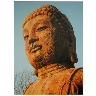 Rust Color Buddha Statue Canvas Wall Art (China) Today $28.00 5.0 (3