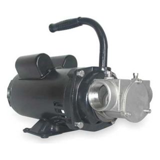 Dayton 3ACC8 Pump, SS, 1 1/2 HP, 115/230V, 17.2/8.6 Amps