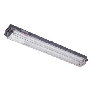 Killark LZ2S32230 Fixture, Fluorescent, Hazardous, F32T8