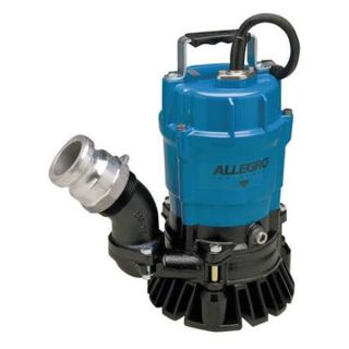 Allegro 9404 04 Sludge Pump, 50 GPM, 31 lbs