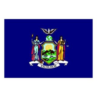Nylglo 143860 New York State Flag, 3x5 Ft