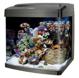 Coralife Biocube, Size 14